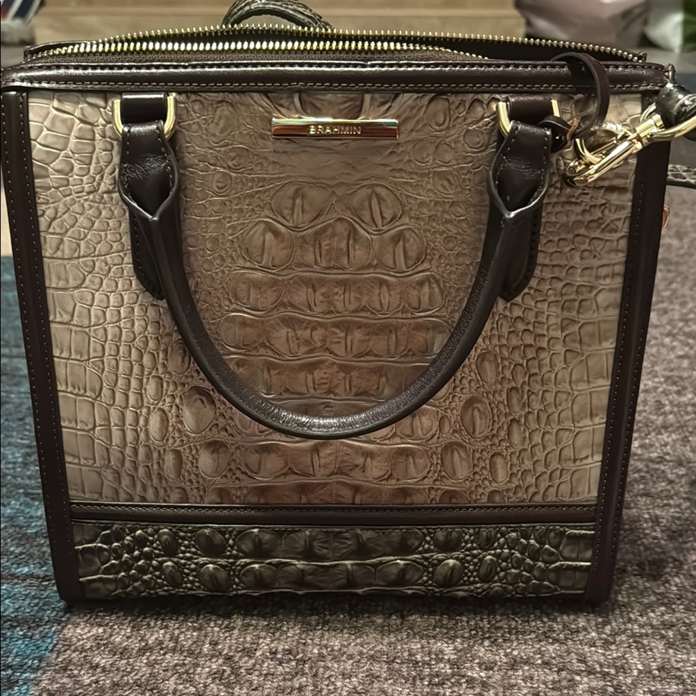 Brahmin Caroline Silver Lining Windermere Crocodile Embossed Satchel